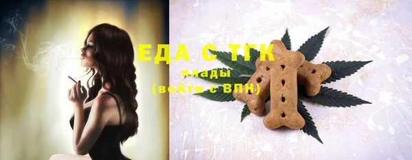 шишки Абаза