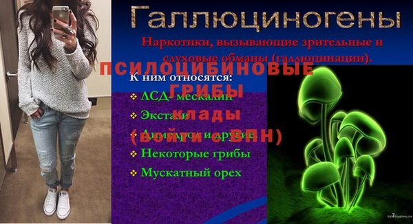 шишки Абаза