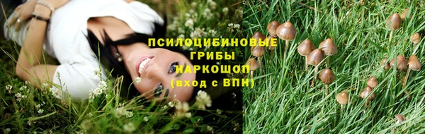 соль курить ск Алзамай