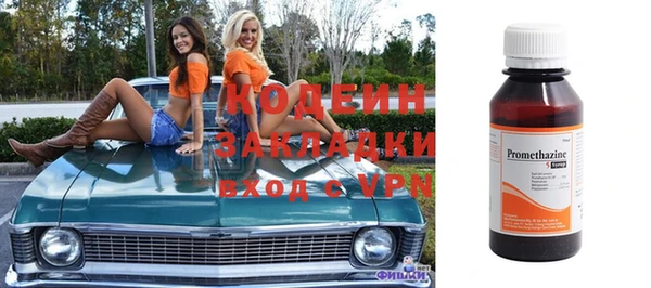 шишки Абаза