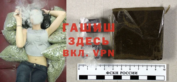 шишки Абаза