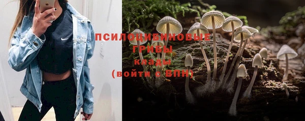 соль курить ск Алзамай