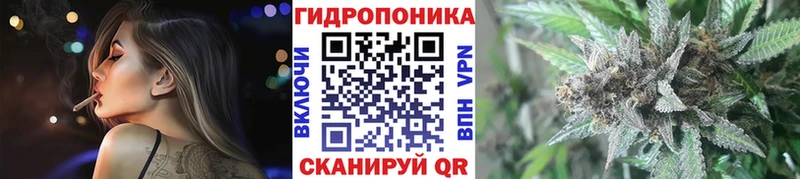 где продают   Дубовка  Канабис марихуана 